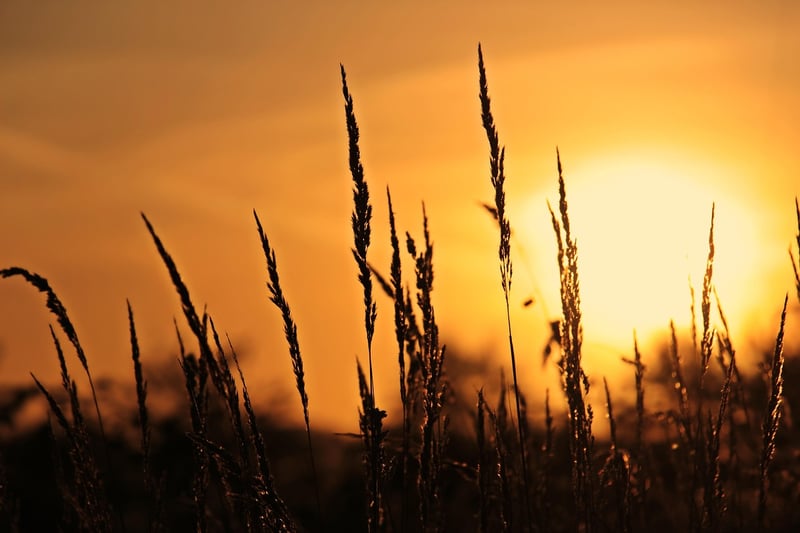 Connect with Nature